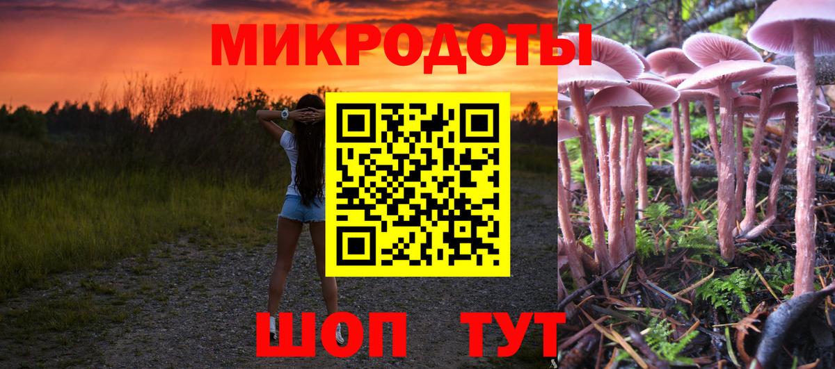 Галлюциногенные грибы Psilocybine cubensis  Вход с VPN  Междуреченск 