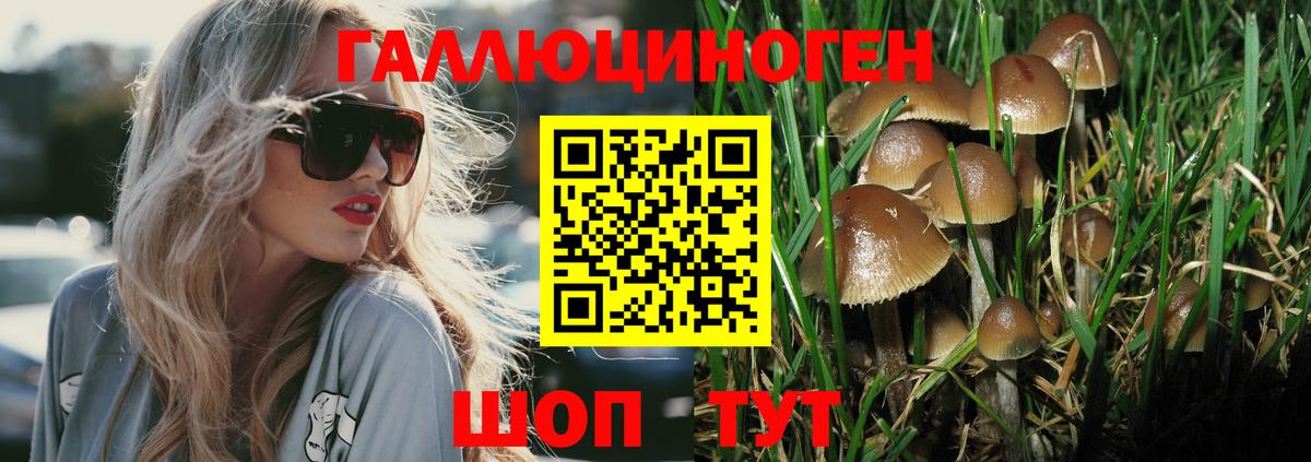 Галлюциногенные грибы мухоморы Междуреченск